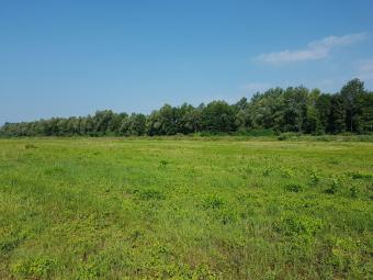 Ipari terület eladó Bag 