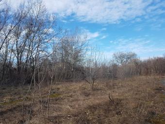 Intézményi telek eladó Újbuda XI. kerület Budapest